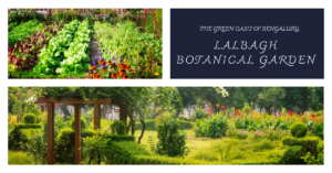 Exploring the Beauty of Lalbagh Botanical Garden: A Green Oasis in the Heart of Bengaluru