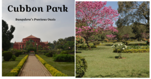 Exploring the Enchanting Beauty of Cubbon Park: Bangalore's Green Oasis